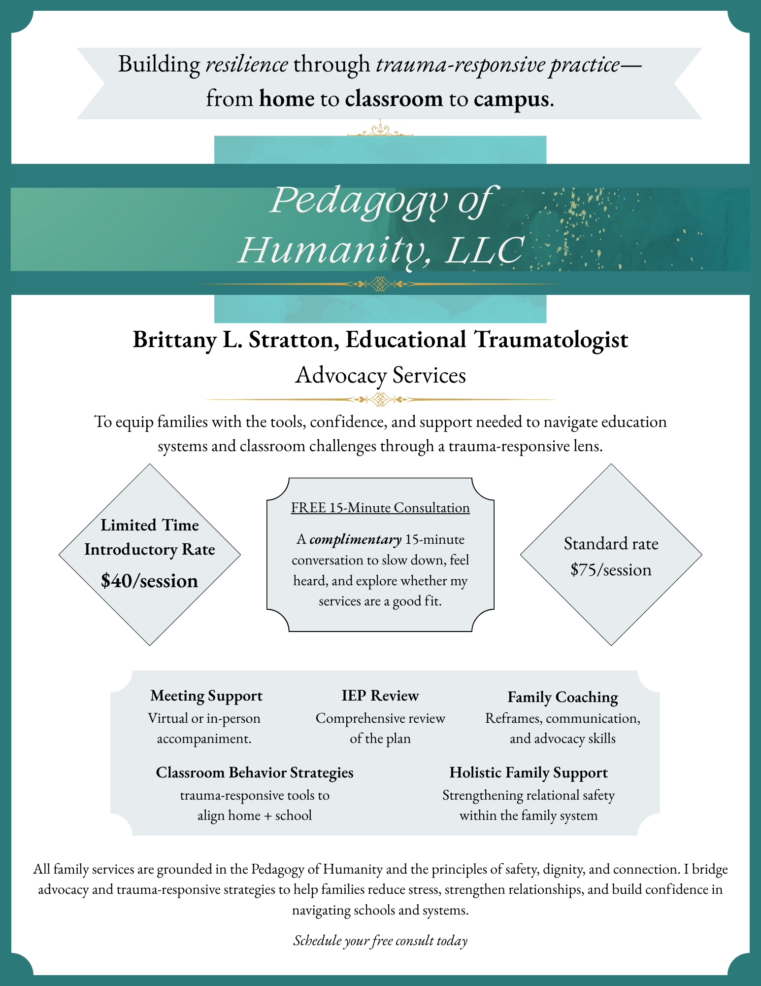 Preview of Services for Families PDF
