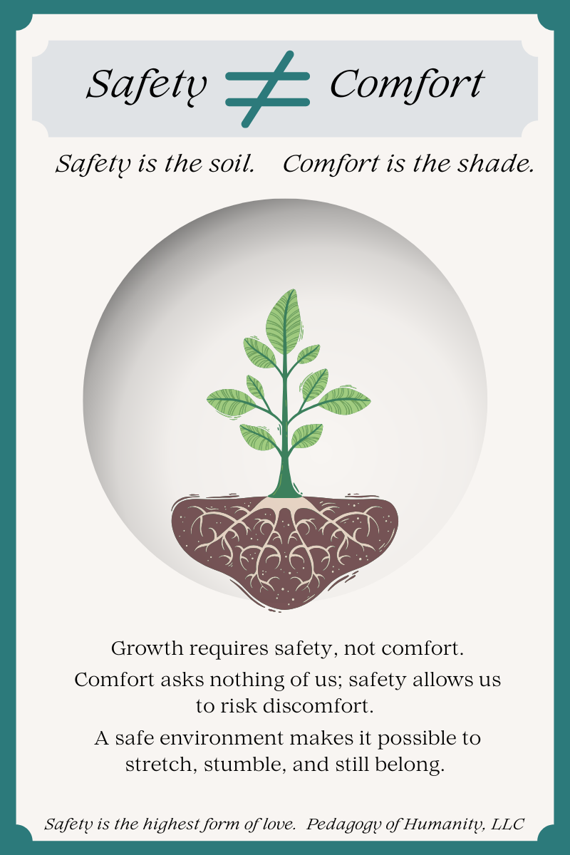 Preview of Safety vs Comfort PDF